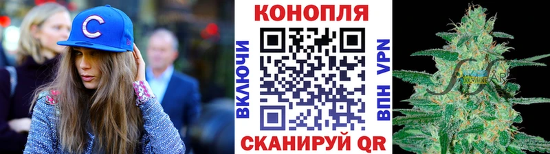 Канабис сатива  Купить где  Саянск 